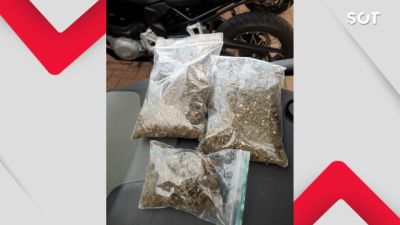 Imagem referente a notícia: Flagrante: Polícia Militar encontra quase 100 gramas de maconha em casa ligada a caso anterior de tráfico em Cascavel