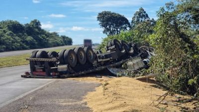 Imagem referente a notícia: Caminhão com 750 sacos de soja capota na BR-163 e motorista é atacado por enxame de abelhas em Cascavel