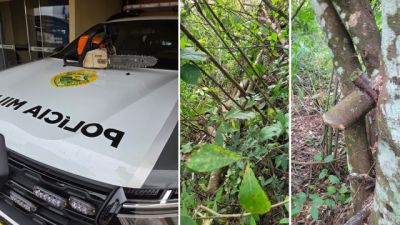 Imagem referente a notícia: Homem é preso em flagrante por corte ilegal de árvores nativas em área de reserva às margens da PR-484