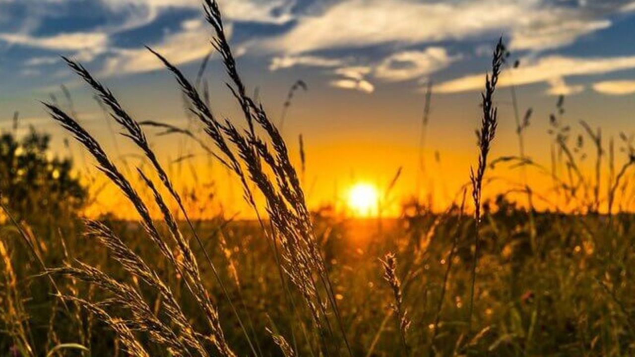 Monitor da ANA aponta avanço da seca fraca no Centro-Oeste do Paraná em fevereiro