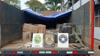 Imagem referente a notícia: Apreensão histórica: quase 2 toneladas de drogas são interceptadas em caminhão na BR-277, em Cascavel
