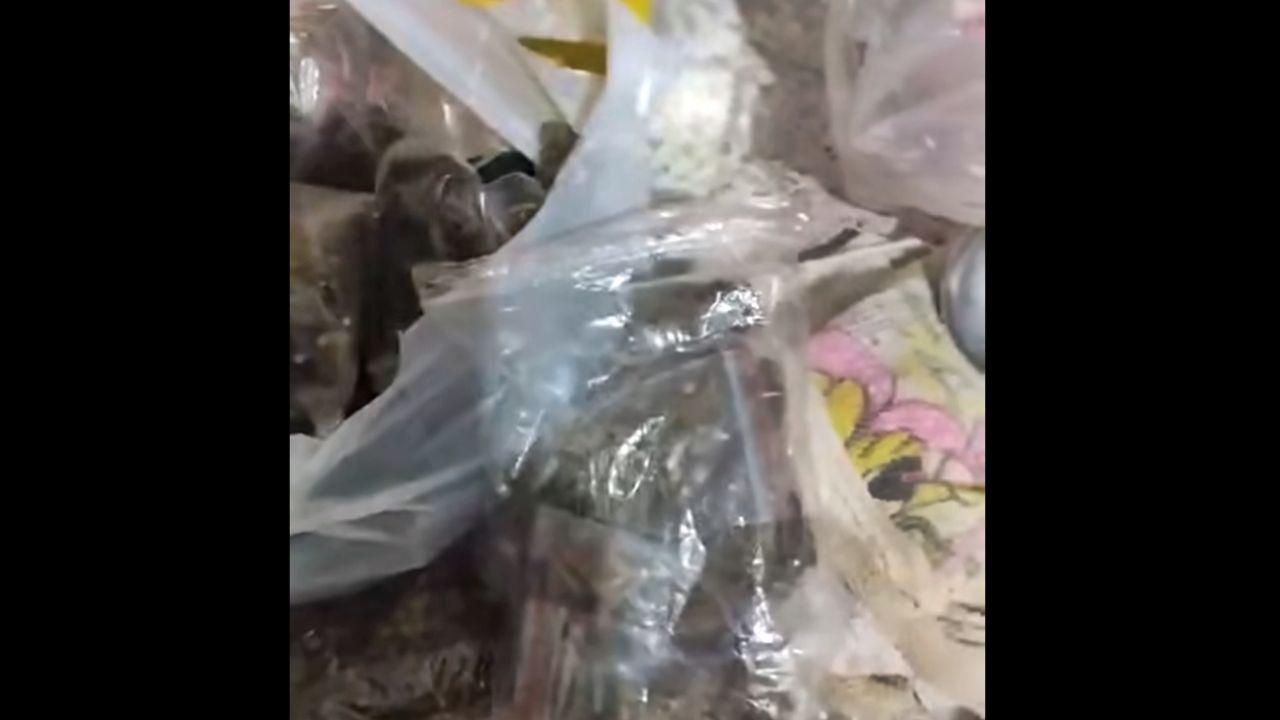 Ação policial desmantela ponto de tráfico e termina com quatro detidos em Cascavel