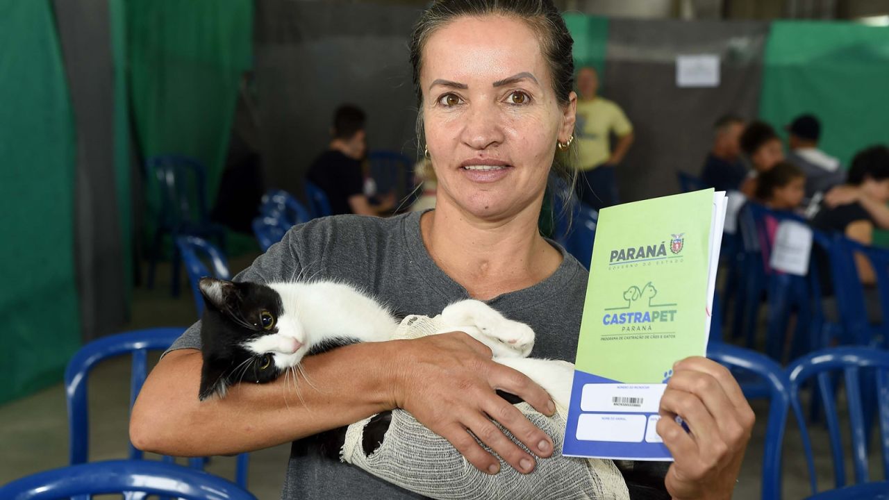Paraná amplia vagas de castração de gatos para combater a esporotricose