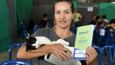Imagem referente a notícia: Paraná amplia vagas de castração de gatos para combater a esporotricose