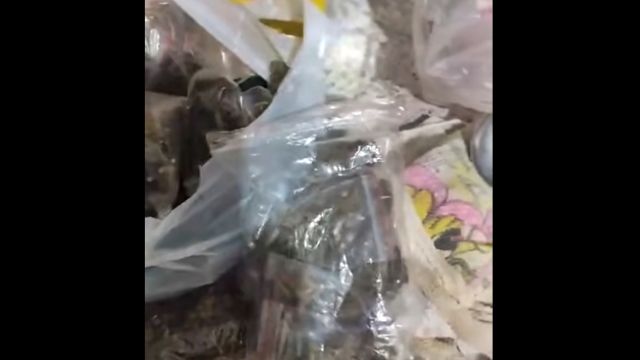 Imagem referente a notícia: Ação policial desmantela ponto de tráfico e termina com quatro detidos em Cascavel