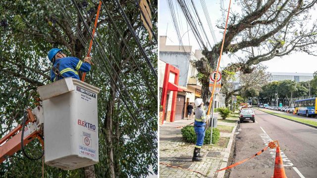 Copel intensifica podas preventivas para reduzir riscos de falta de energia em Cascavel