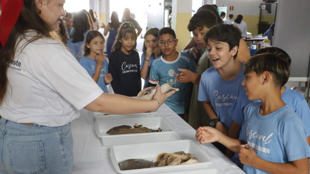 Imagem referente a notícia: Prefeitura de Cascavel fortalece conscientização ambiental e mobiliza comunidade no Bairro Morumbi