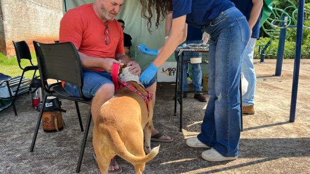 Imagem referente a notícia: Corbélia inicia mutirão de vacinação contra a raiva com grande adesão da população