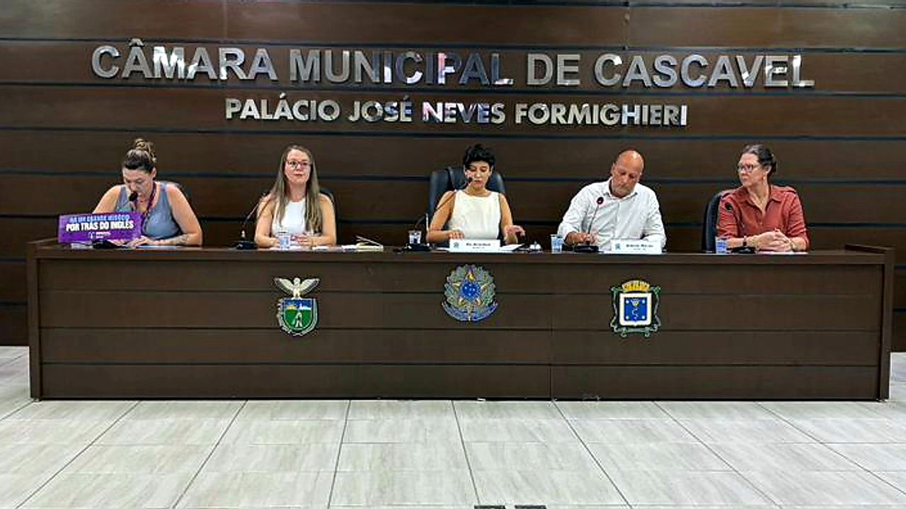 Audiência da Comissão de Educação debate o ensino de línguas estrangeiras na rede