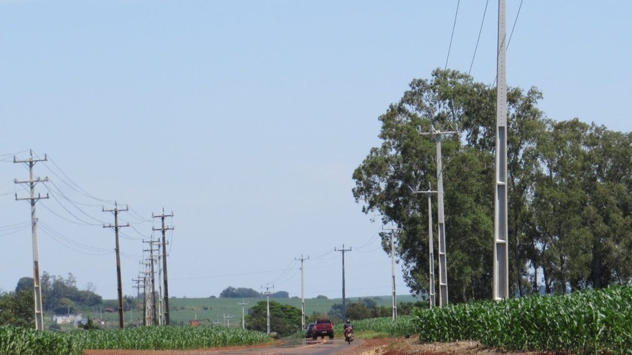 Copel investe R$ 2,8 milhões no reforço da rede elétrica para atender a produtores rurais de Toledo