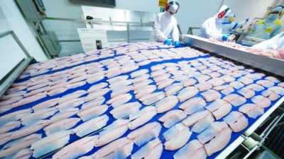 Imagem referente a notícia: Representantes do Paraguai conhecem a cadeia da tilápia no oeste do Paraná