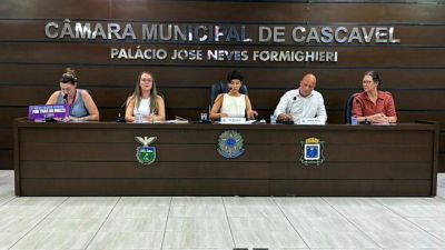 Imagem referente a notícia: Audiência da Comissão de Educação debate o ensino de línguas estrangeiras na rede