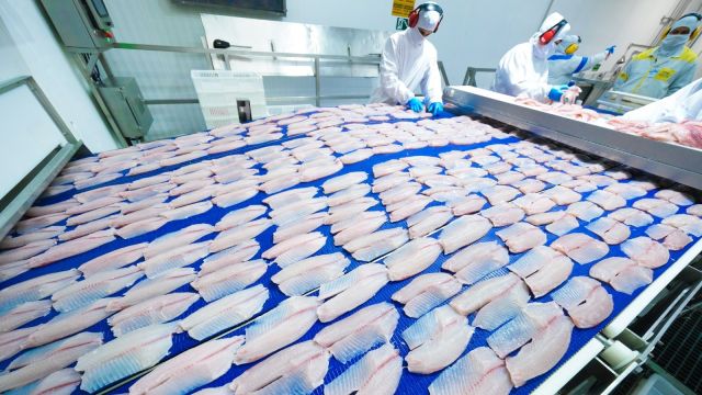 Representantes do Paraguai conhecem a cadeia da tilápia no oeste do Paraná