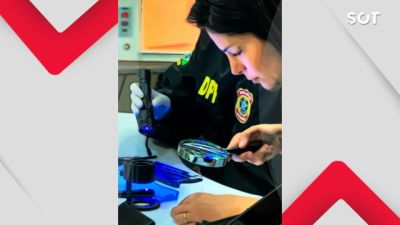 Imagem referente a notícia: Estudo da Polícia Federal publicado em revista internacional amplia eficiência na identificação humana