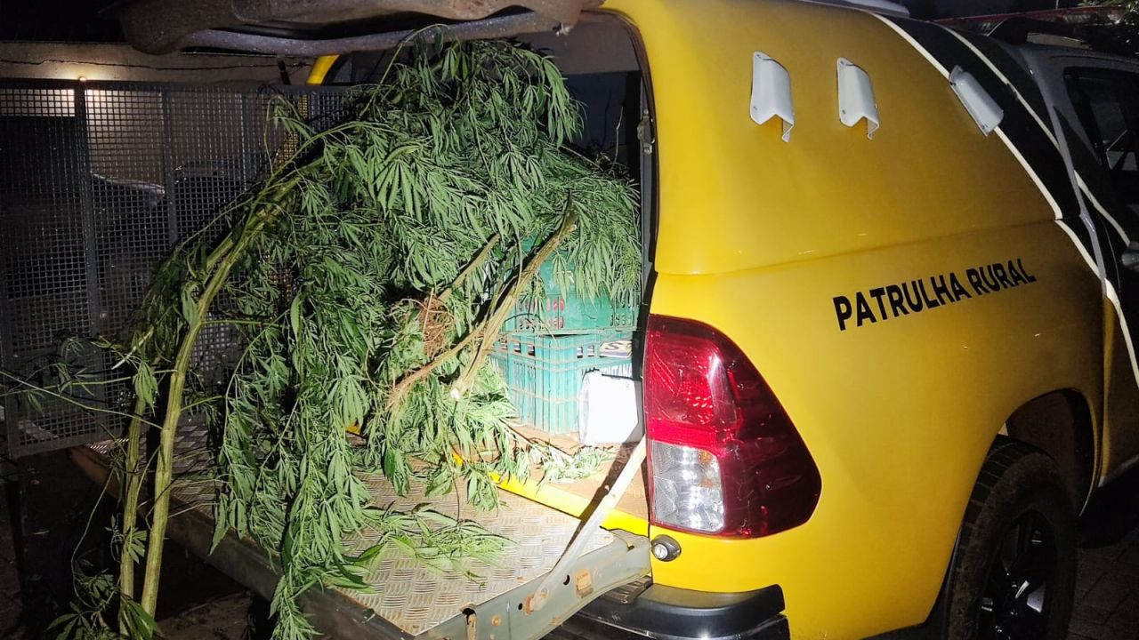 Faltou espaço no camburão: Homem com mandado por tráfico é preso após tentar fugir pela mata na área rural de Cascavel