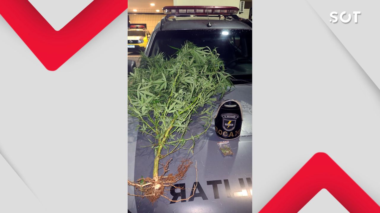 Mulher é flagrada com maconha em casa após denúncia de tráfico em bairro de Cascavel