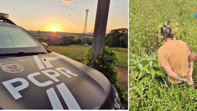 Homem é preso por descumprir medida protetiva e ameaçar mulher em Palmeira, diz Polícia Civil