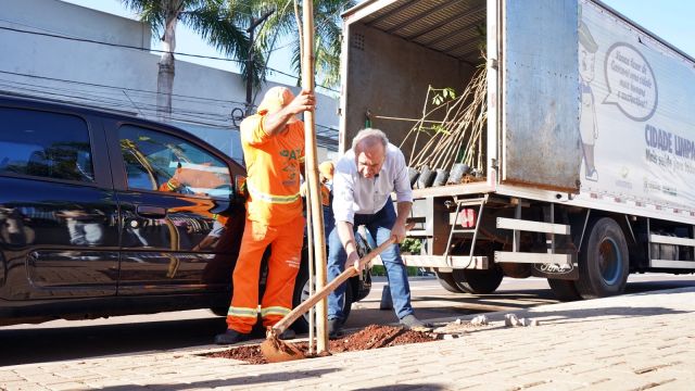 Cascavel Mais Verde | Prefeitura inicia programa de arborização com plantio de mil árvores
