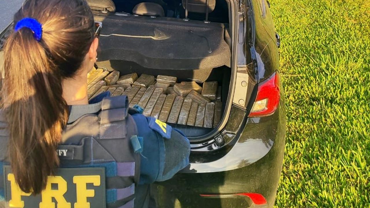 PRF apreende quase 140 kg de maconha na BR-277 e prende motorista no Paraná