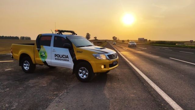 Cães da polícia encontram R$ 1,5 milhão em remédios ilegais em ônibus na BR-369, em Cascavel