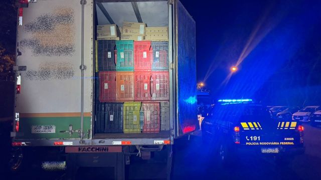 Imagem referente a notícia: PRF apreende 350 mil maços de cigarros em caminhão que alegava estar vazio na BR-163