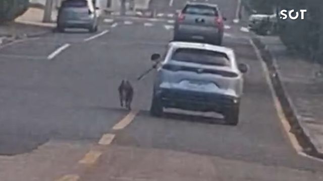 Polícia Civil indicia idoso por arrastar cão preso a carro em movimento em Ponta Grossa