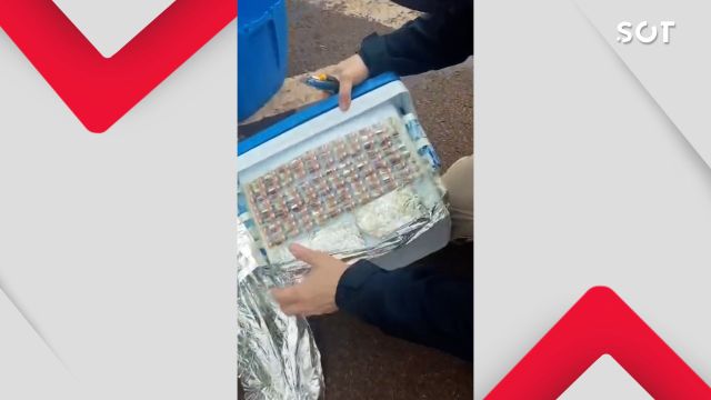 PRF apreende medicamentos proibidos escondidos em caixa térmica na BR-277, no Paraná