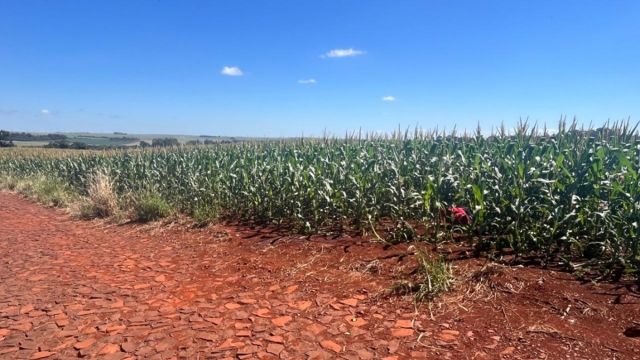 Corpo de homem é encontrado em área rural de São Miguel do Iguaçu