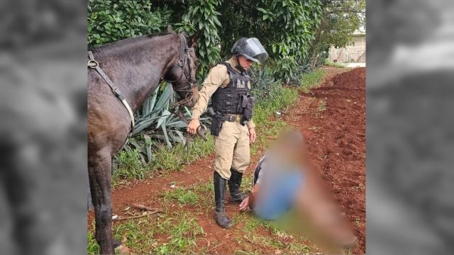 Suspeito tenta fugir por área de mata, mas é capturado pela Cavalaria após cerco tático na Avenida Piquiri em Cascavel