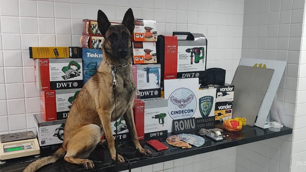 Operação da Guarda Municipal termina com cinco detidos por tráfico e receptação em Cascavel