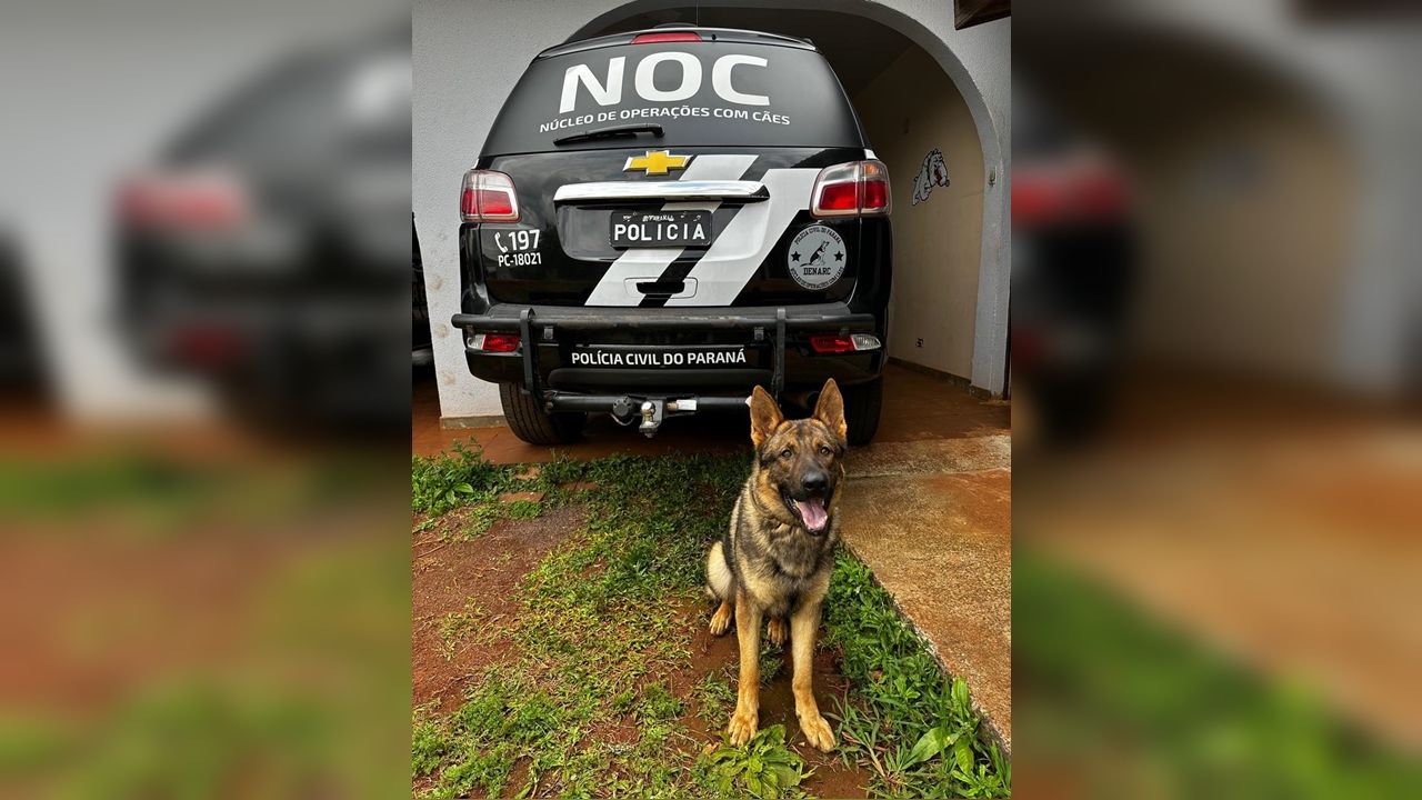 Polícia Civil prende suspeito de tráfico em operação com cães farejadores no interior do Paraná