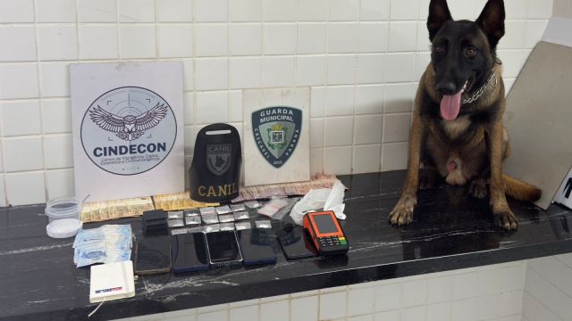 Operação da Guarda Municipal prende quatro suspeitos por tráfico no centro de Cascavel