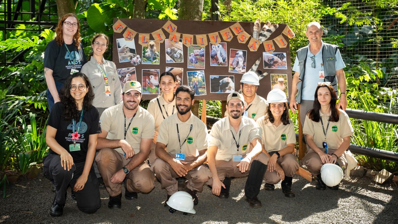 Aniversário de harpias marca o Dia da Terra no Refúgio Biológico da Itaipu