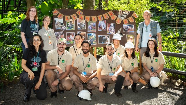 Aniversário de harpias marca o Dia da Terra no Refúgio Biológico da Itaipu