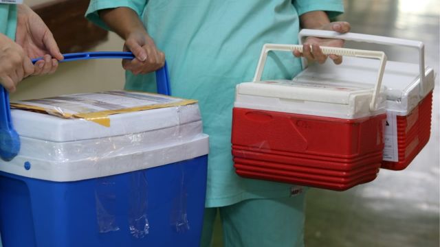 Imagem referente a notícia: HUOP faz captação rara de pâncreas e consolida referência no cenário de doação de órgãos