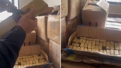 Imagem referente a notícia: PRF apreende 1,7 tonelada de maconha escondida em caminhão e prende dois em Vitorino