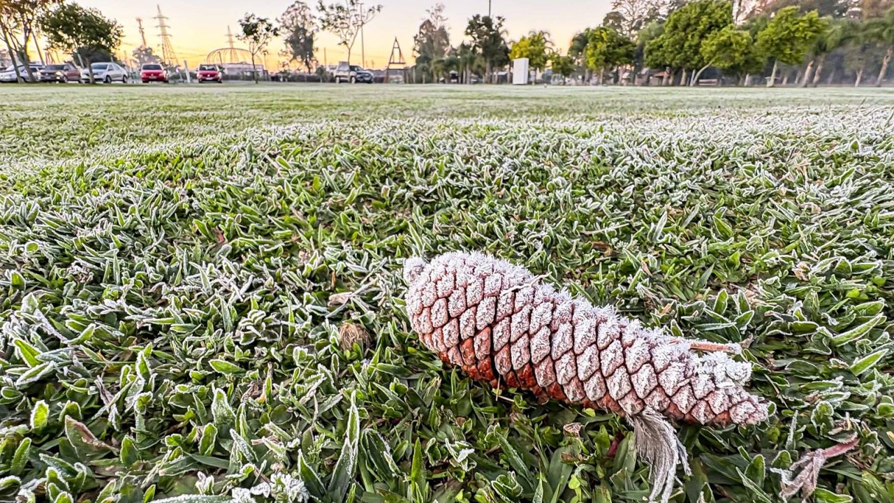 Sinais de inverno: maio terá frentes frias e geada no Paraná, prevê Simepar