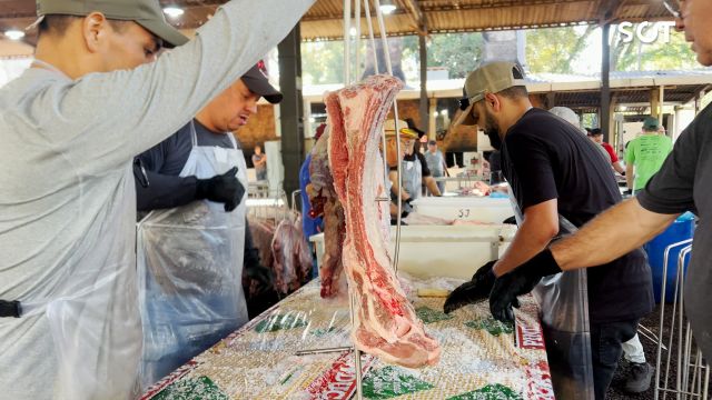 Imagem referente a notícia: Costelões da Festa do Trabalhador começam a ser salgados e movimentam bastidores do maior evento popular de Cascavel