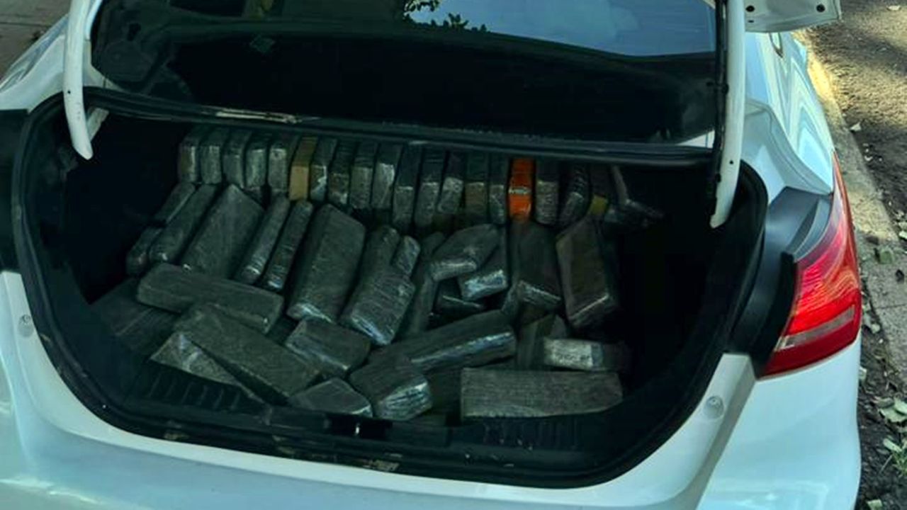 PRF apreende 145,5 kg de maconha na BR-277 e prende casal em flagrante no Paraná