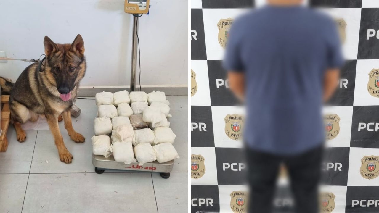 Polícia Civil apreende 11 kg de haxixe escondidos em saco de pancadas e prende suspeito em Cascavel