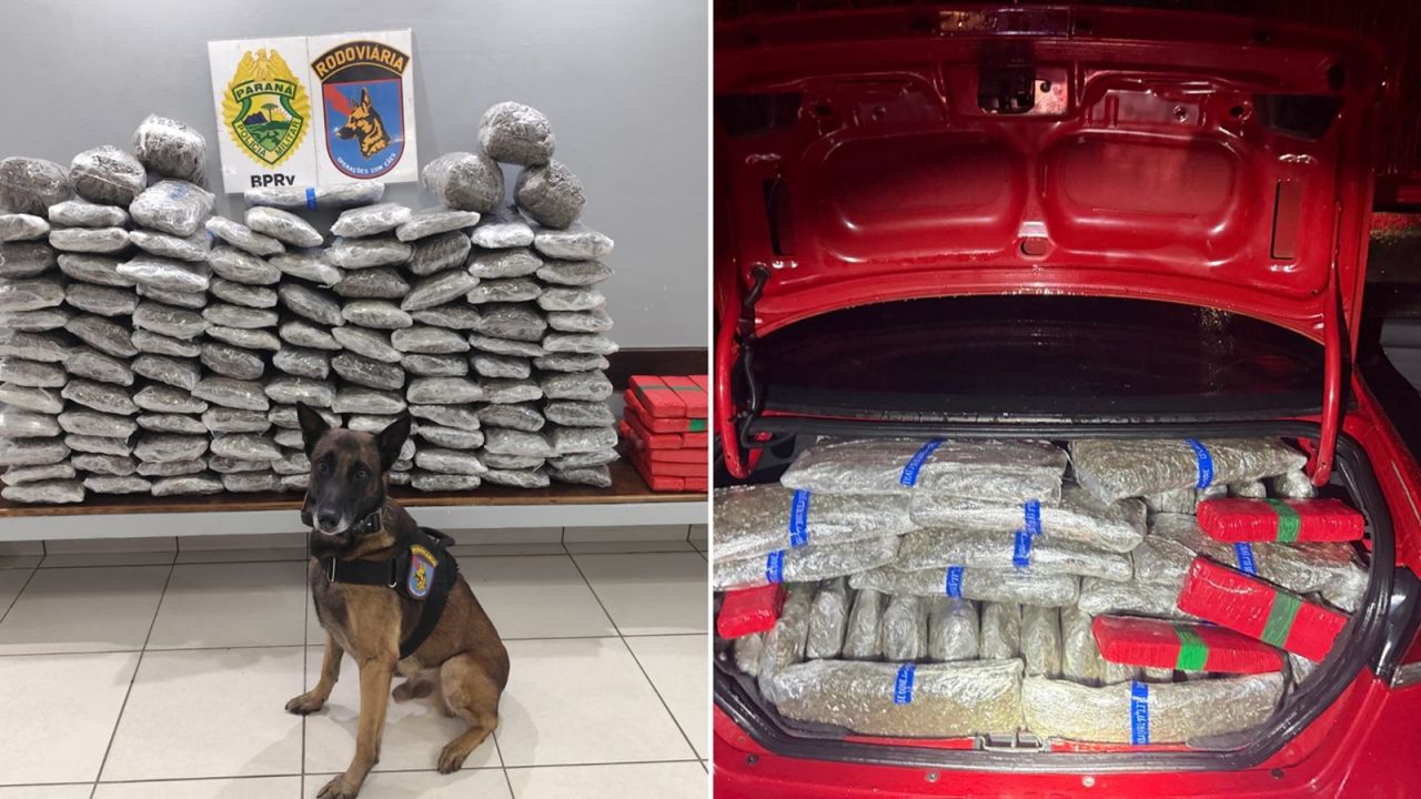 Perseguição na BR-277 termina com carro carregado com mais de 133 kg de maconha em Guarapuava