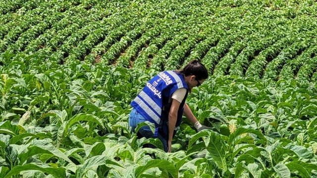 Imagem referente a notícia: Governador envia à Alep projeto de lei para reestruturação das carreiras da Adapar