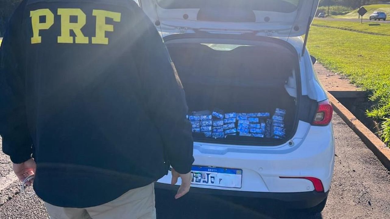 PRF apreende mais de 100 quilos de maconha na BR-277 e motorista é preso em Cascavel