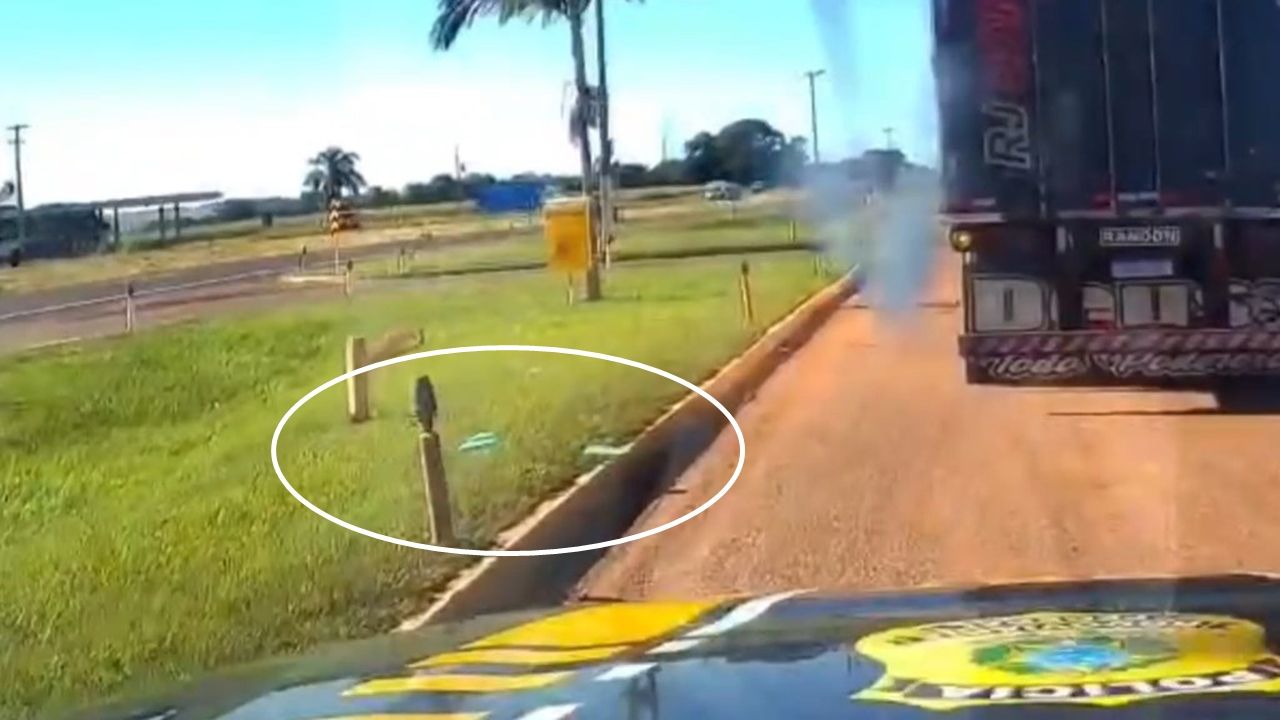 PRF prende caminhoneiro com cocaína ao flagrar tentativa de descarte da droga na BR-163 em Cascavel
