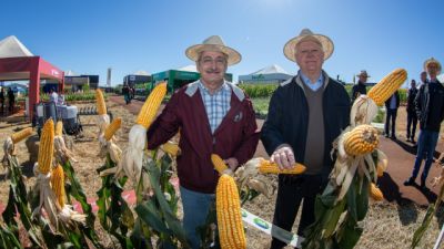 Imagem referente a notícia: Copacol Agro 2026: inovação, conhecimento e fortalecimento do agronegócio