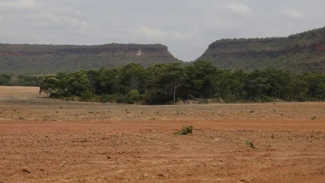 Imagem referente a notícia: Fragmentos de vegetação nativa cresceram no país 260% em 38 anos