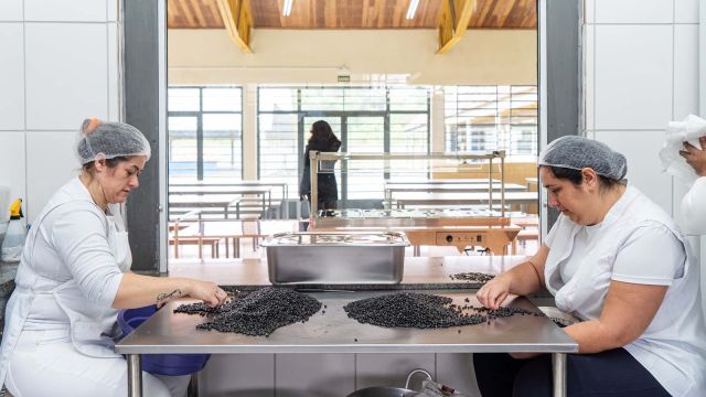 Imagem referente a notícia: Governo do Paraná concede progressão a 13,2 mil agentes educacionais da rede estadual