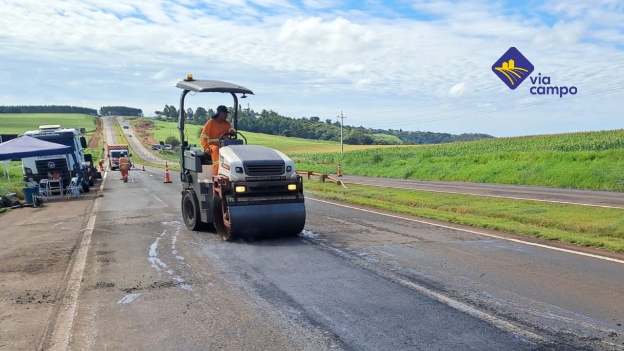 Um mês de operação: Via Campo intensifica conservação, monitoramento e atendimento 24 horas nas rodovias