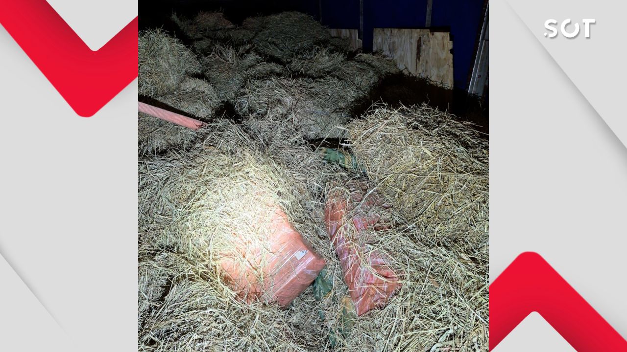 Carga de feno escondia 4,5 toneladas de maconha e motorista é preso na BR-277 em Santa Tereza do Oeste