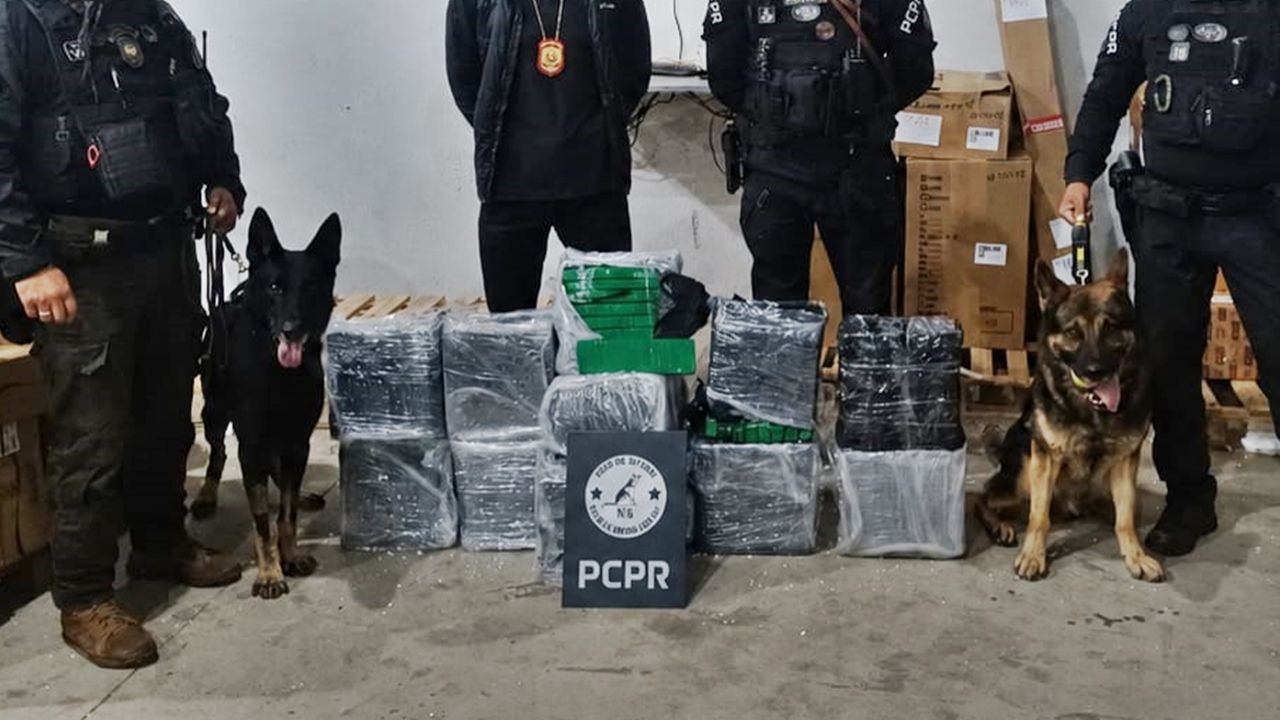 Polícia Civil apreende mais de 150 quilos de maconha em transportadora de Cascavel